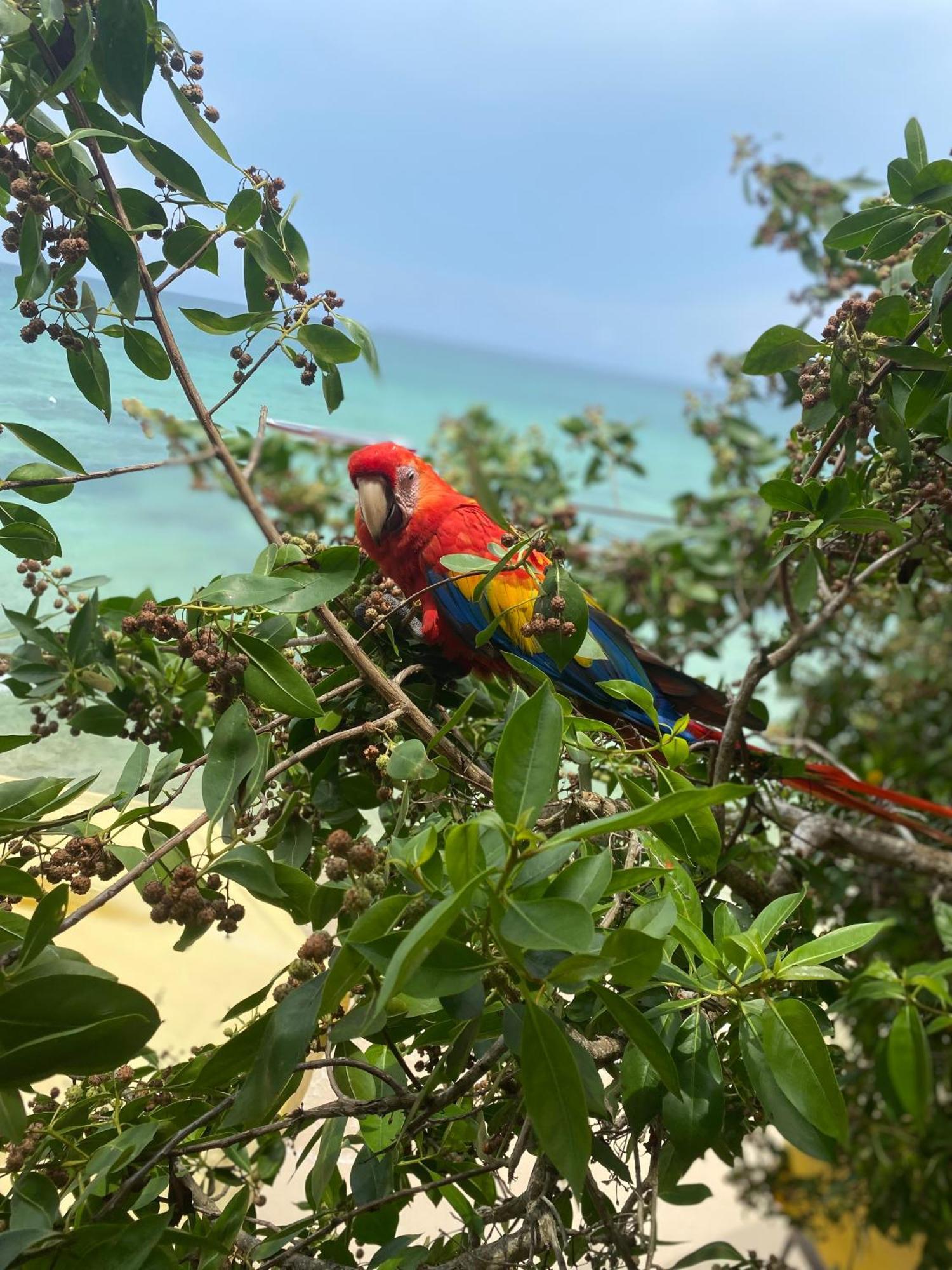 Posada Shekinah Baru Playa Blanca Luaran gambar